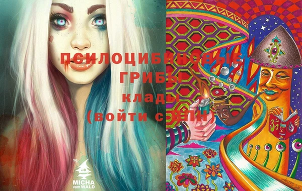 соль ск Абаза