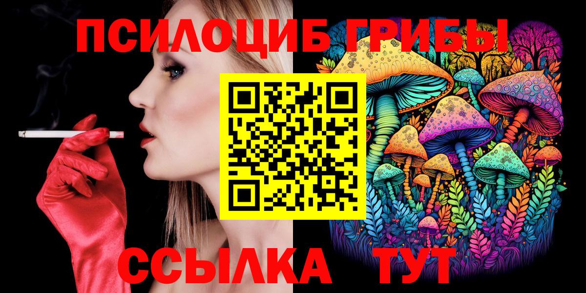 Норильск  сколько стоит  Псилоцибиновые грибы прущие грибы  Вход с VPN  Псилоцибиновые грибы Cubensis 